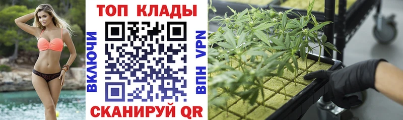 Где купить наркотики Ковров Бошки Шишки МЕФ Псилоцибиновые грибы Гашиш А ПВП