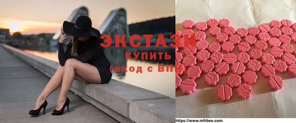 хмурый Магас