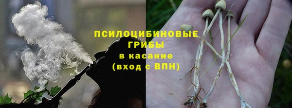 мяу мяу мука Майский