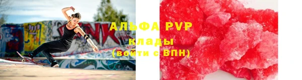 хмурый Магас
