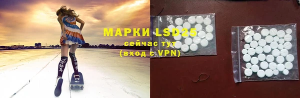 индика Мурманск