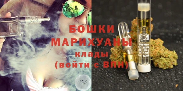 хмурый Магас
