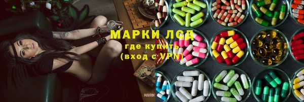 хмурый Магас