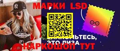 spice Гай