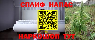 дурь Гагарин