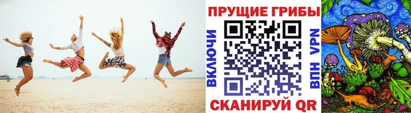 Галлюциногенные грибы Cubensis  купить наркотик  Ковров 