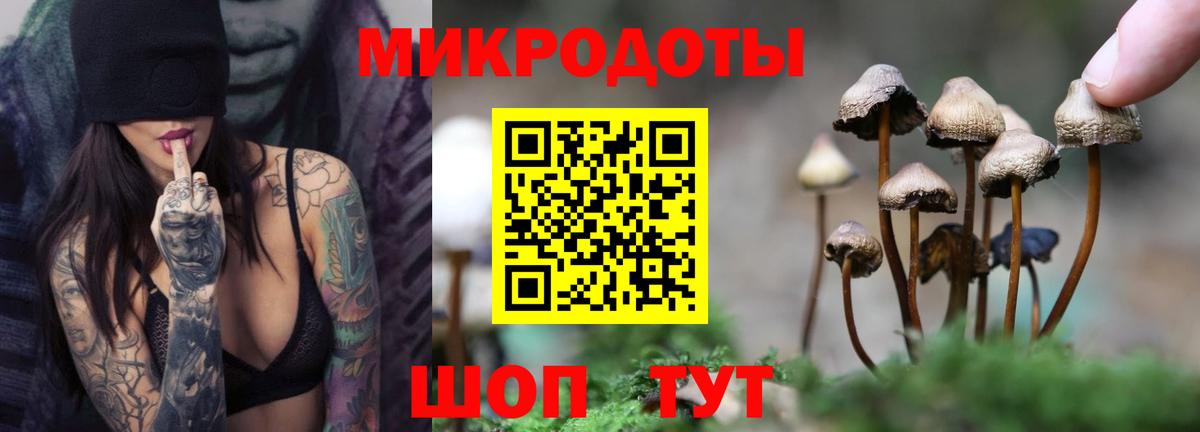 Метадон Ковров